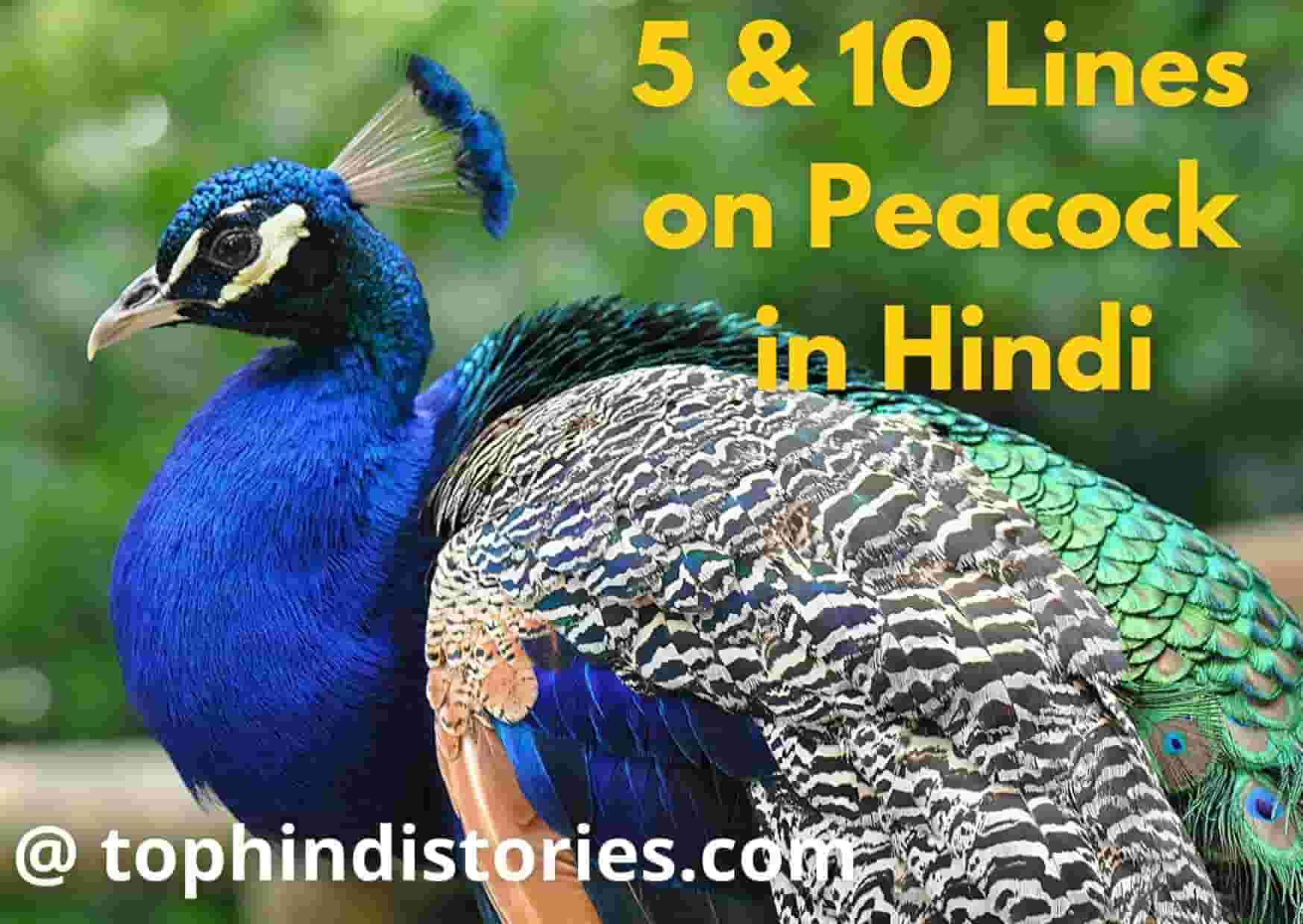 a short hindi essay on peacock