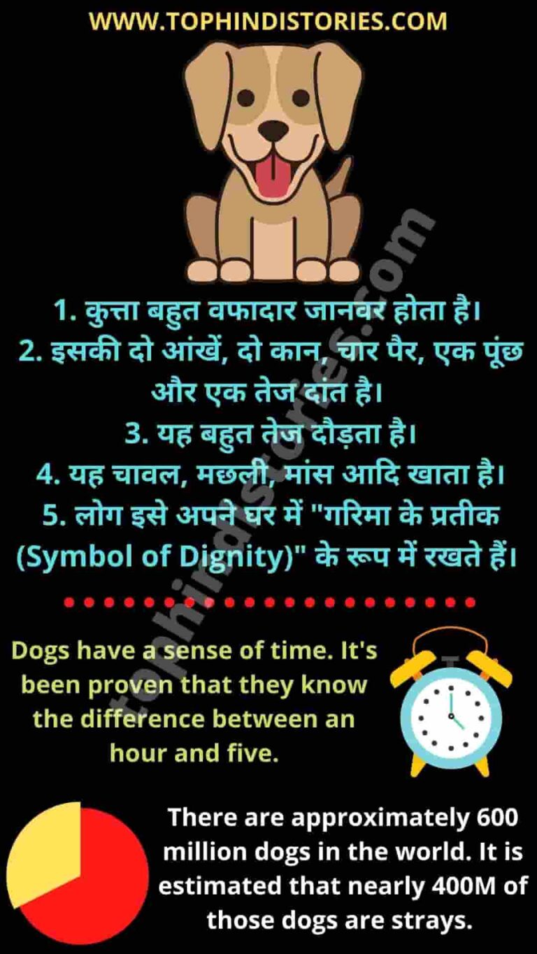 10-lines-on-dog-in-hindi-l-my-pet-5-points-sentences