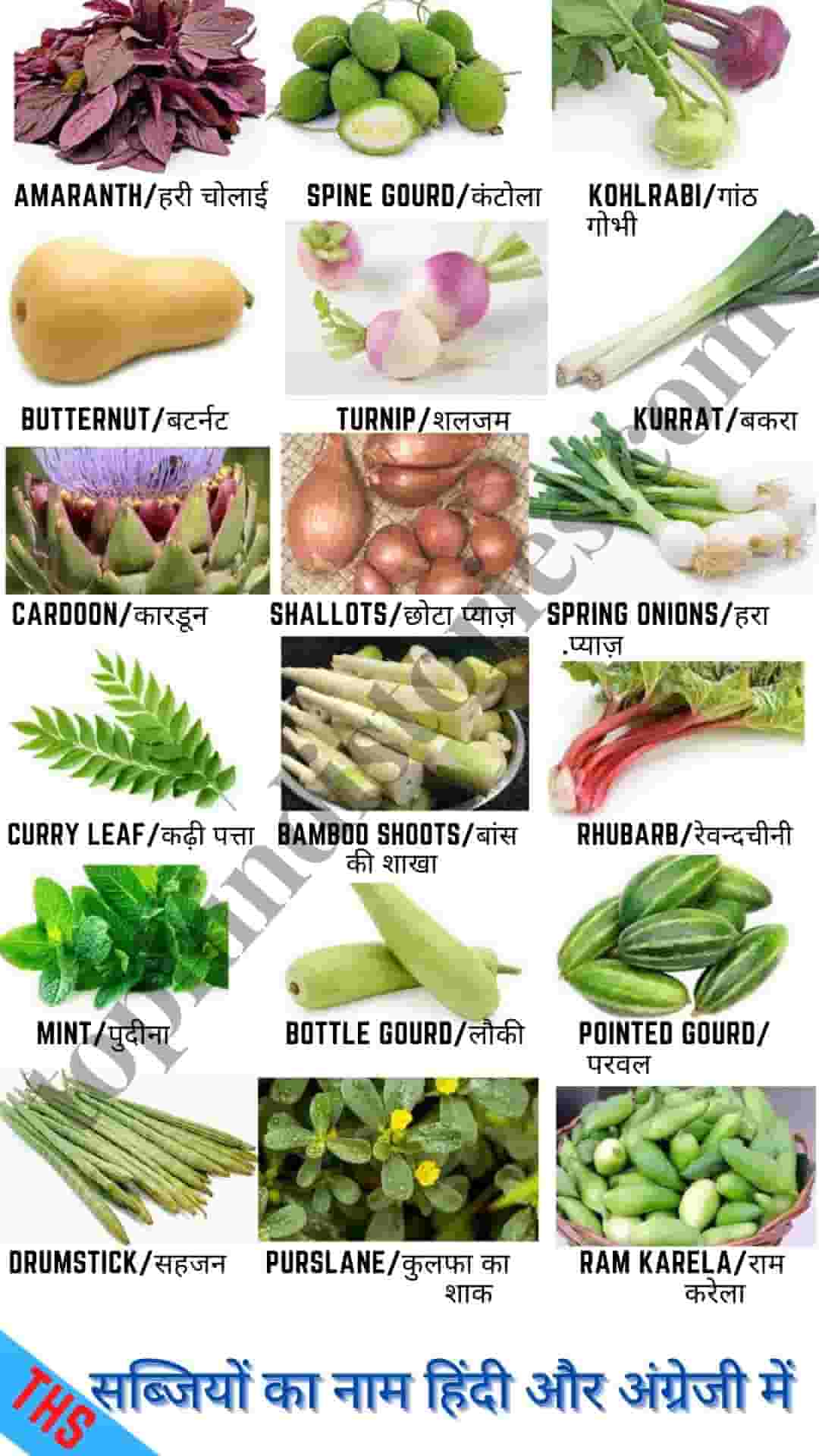 70-all-vegetables-name-in-hindi-english