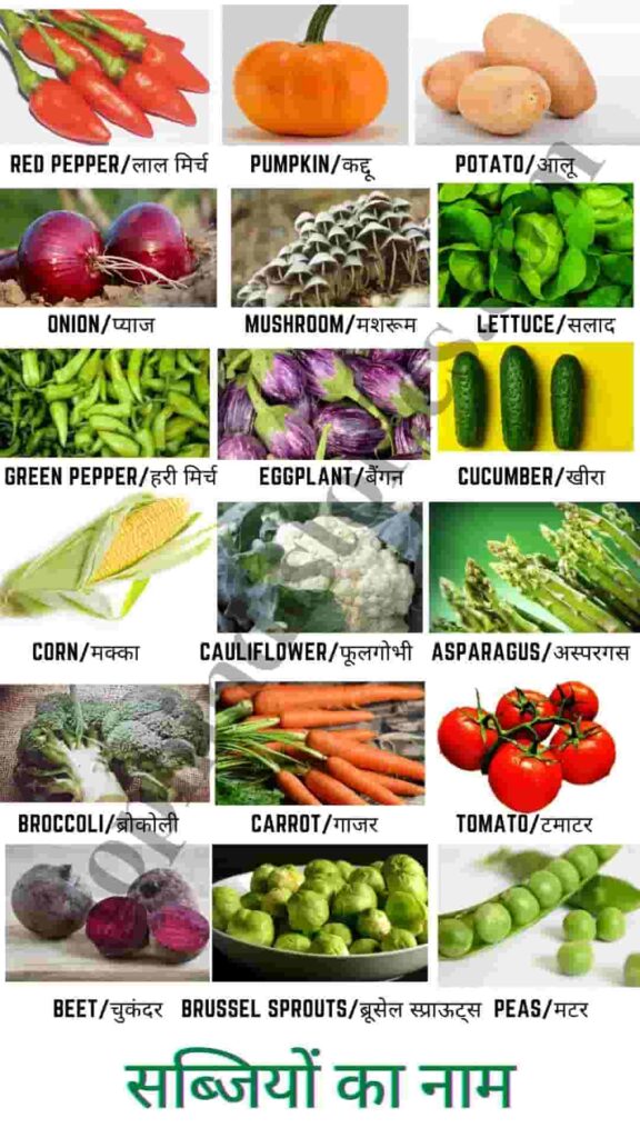 70+ All Vegetables﻿ Name in Hindi & English | सब्जियों के नाम
