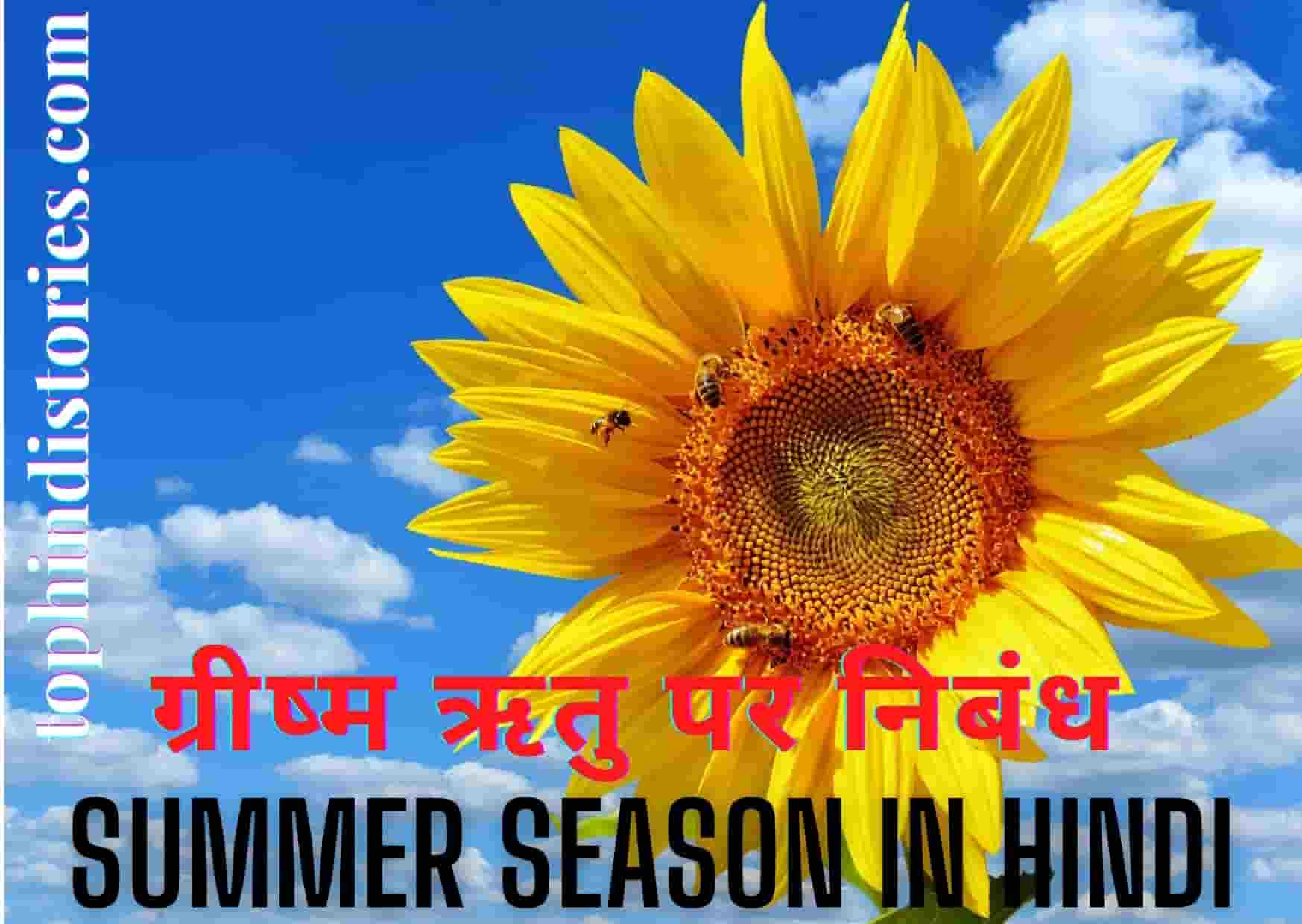 Short essay about summer season in Hindi