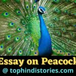 Best 4 Essay about Peacock in Hindi l मोर पर निबंध