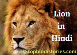 50+ Amazing Facts & Information about Lion in Hindi (शेर)