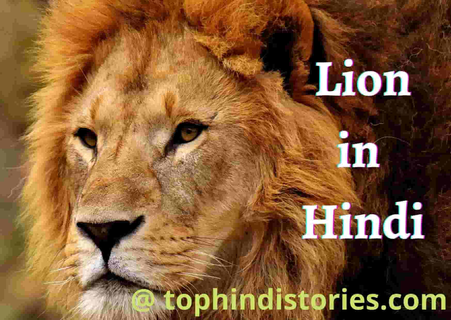 lines on lion in hindi