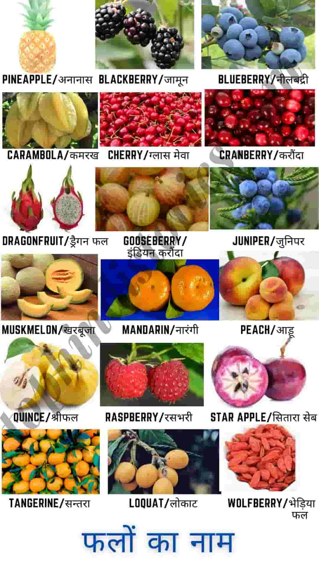 50-all-fruits-name-in-hindi-english-chart-l