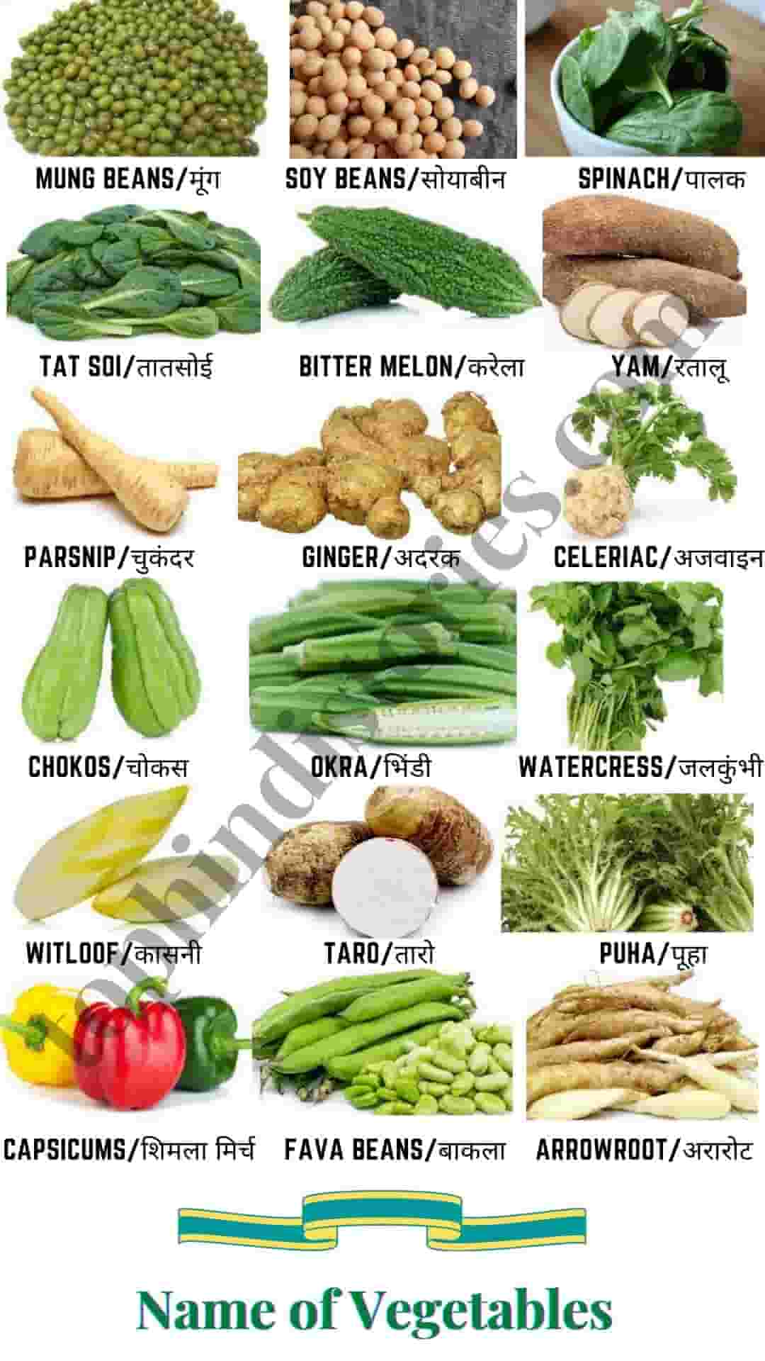 All Vegetables In Hindi And English