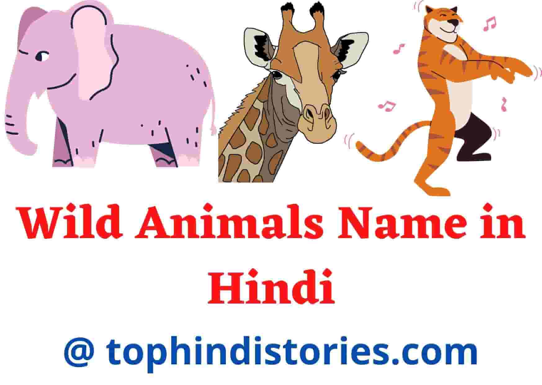 List Of 50 All Wild Animals Name In Hindi English