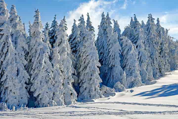 Winter season in Hindi essay