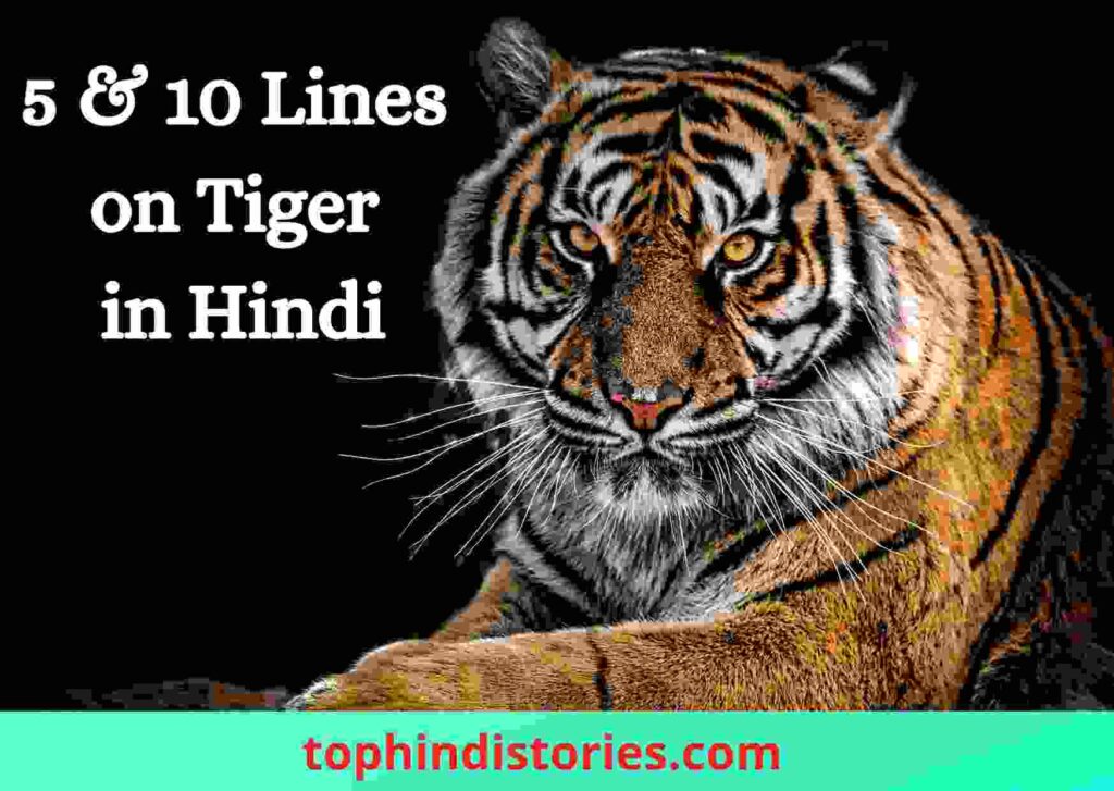 about-tiger-in-hindi-5-10-points-best-few-sentences