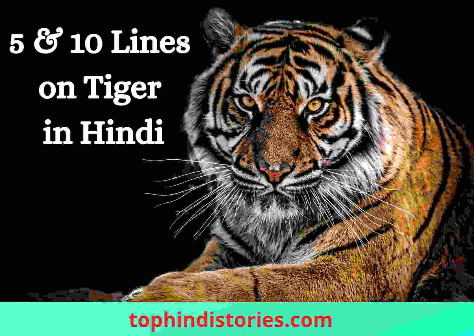 About Tiger in Hindi 5 & 10 Points {Best Few Sentences}