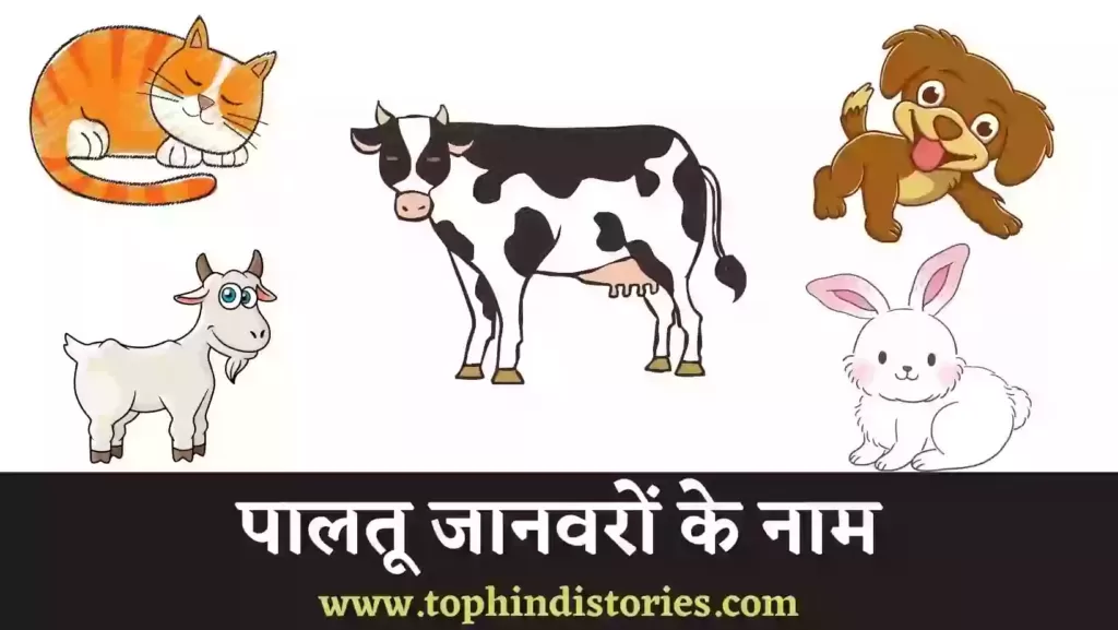 Pet animals name in Hindi and English