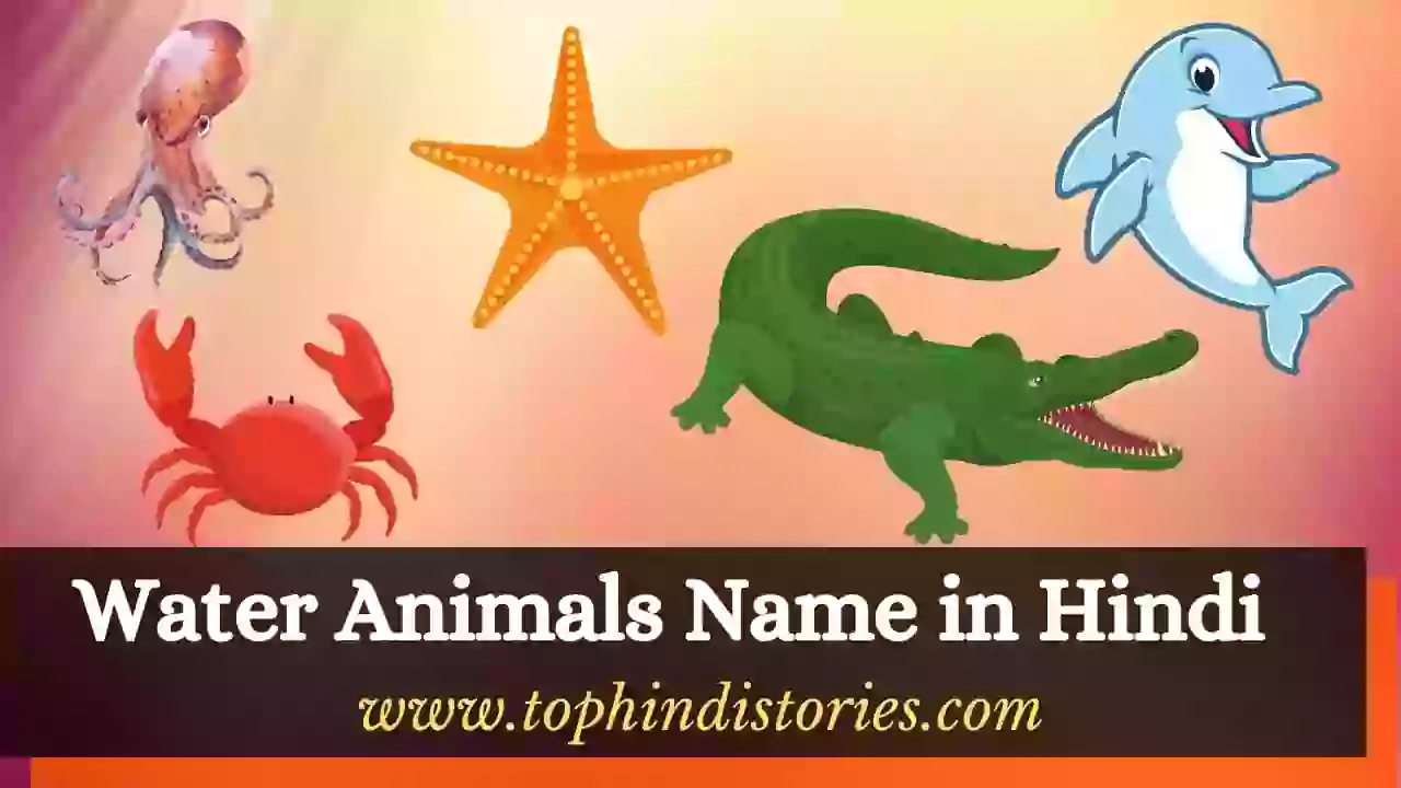 50+ Water Animals Name in Hindi & English With Pictures List