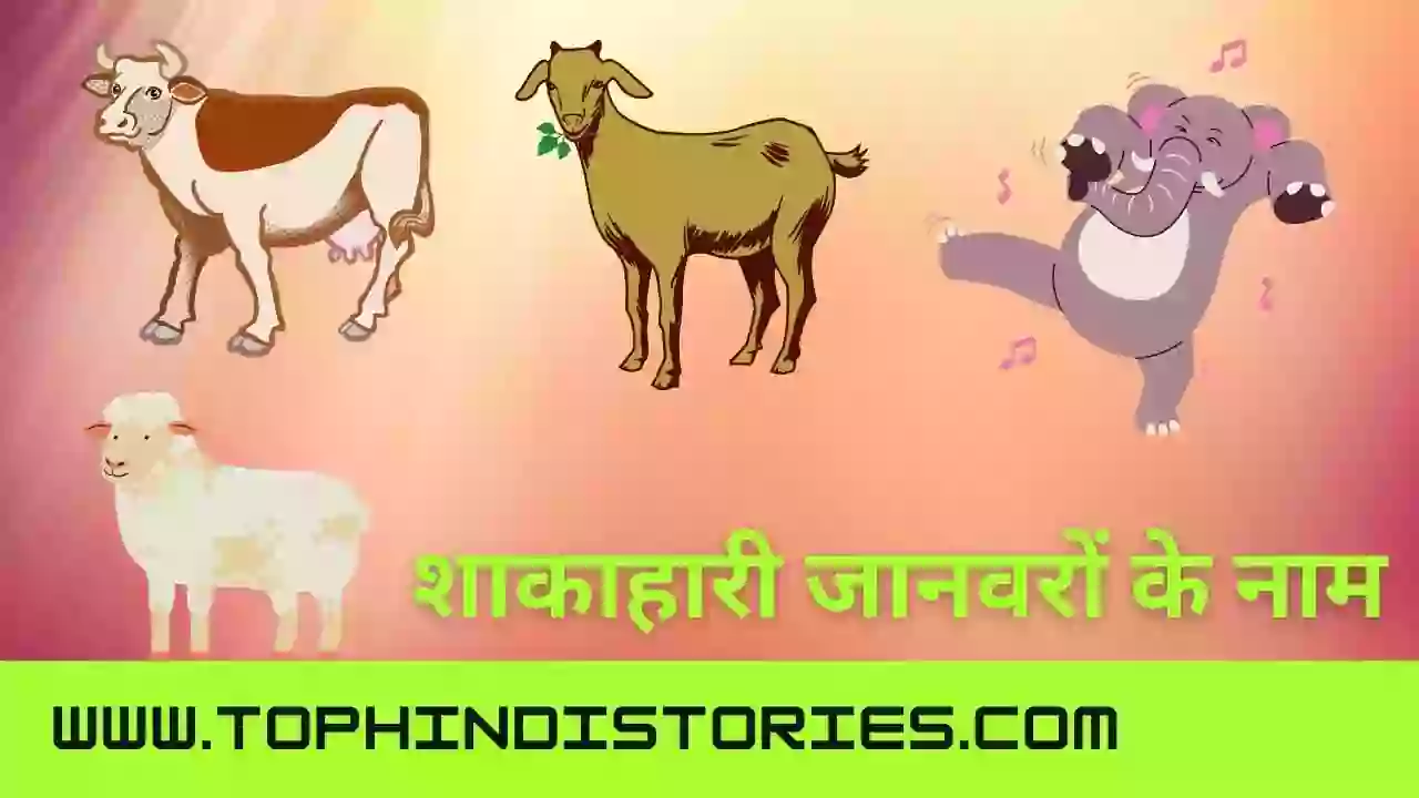 शाकाहारी जानवरों के नाम और जानकारी